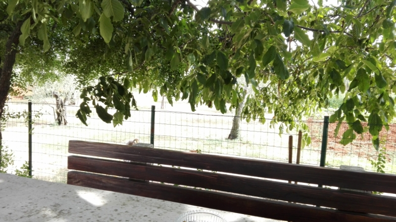 Холодно, теплее, горячо. Москва - Эстония и далее Хорватия. 7 путешествие Поли.