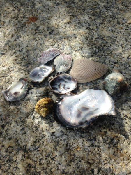 Медленно и с наслаждением: Панган со второго захода + Бангкок (онлайн, август 2016)