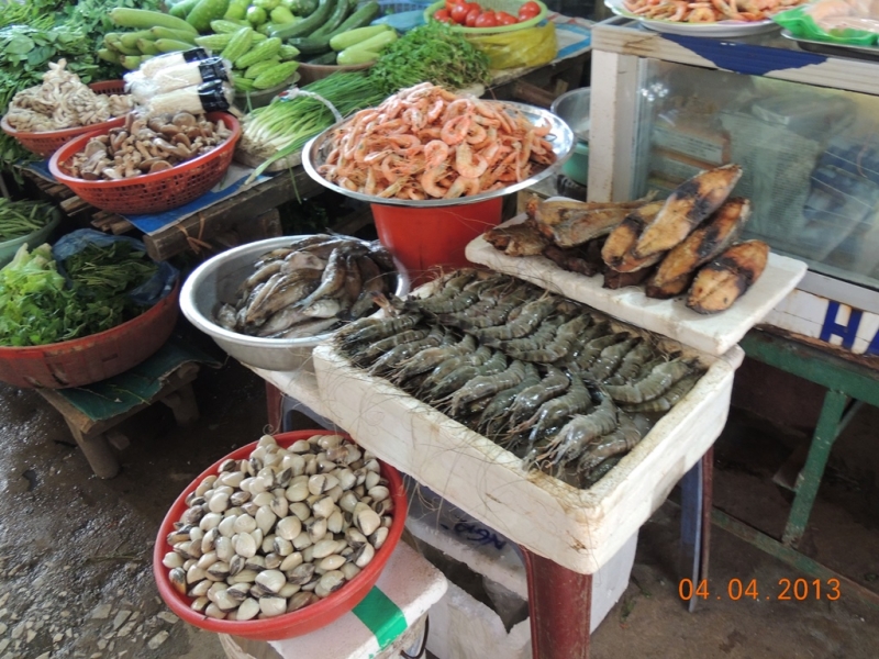 Нинь-Бинь, Халонг, Сапа, Хуэ, Хойан, Ханой. Много фото. посещение апрель 2013