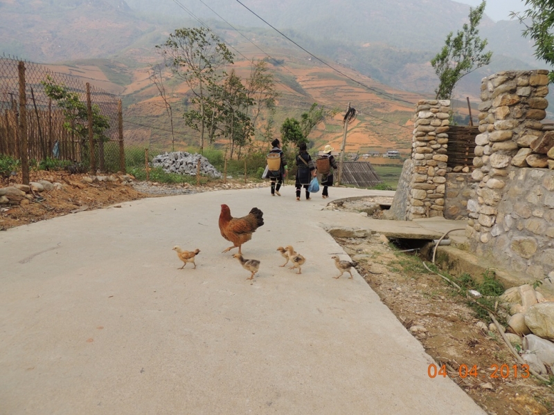 Нинь-Бинь, Халонг, Сапа, Хуэ, Хойан, Ханой. Много фото. посещение апрель 2013