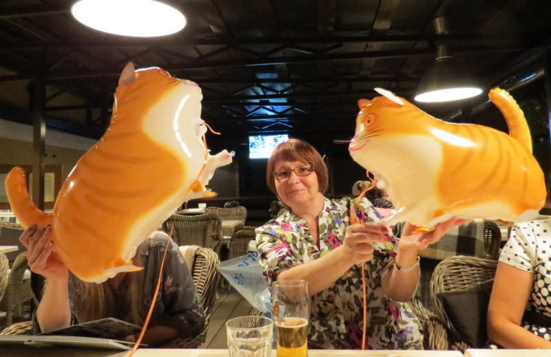 Поговорим о кошках40