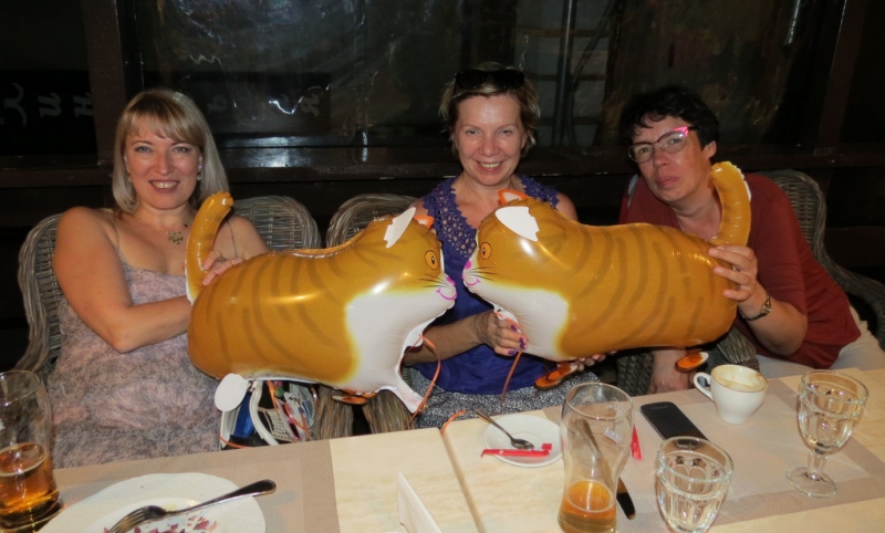 Поговорим о кошках40