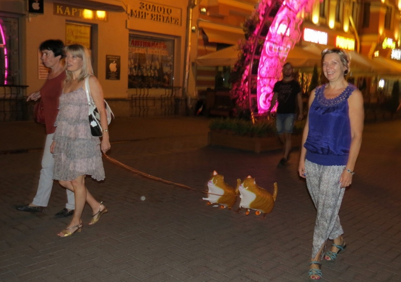 Поговорим о кошках40