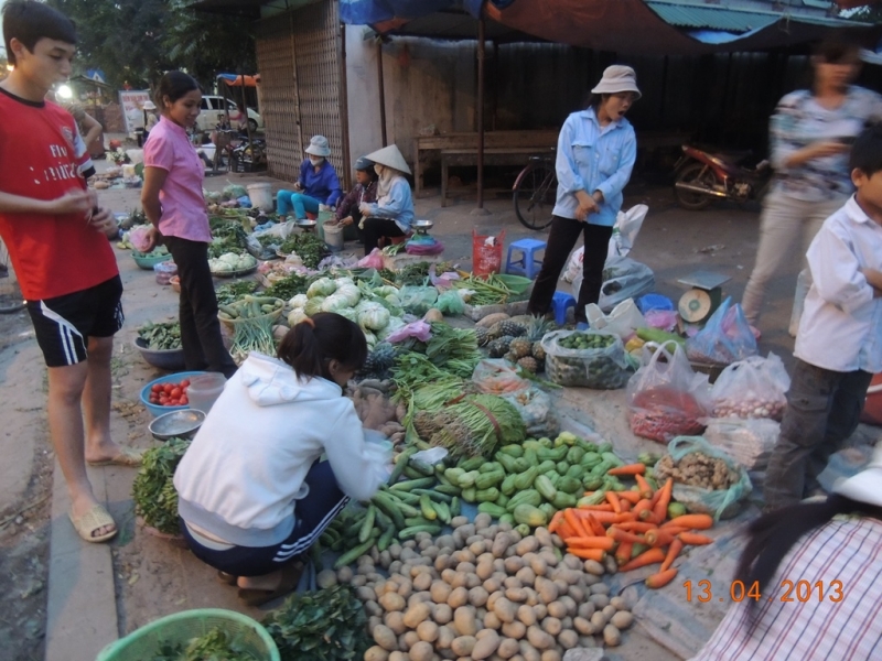 Нинь-Бинь, Халонг, Сапа, Хуэ, Хойан, Ханой. Много фото. посещение апрель 2013