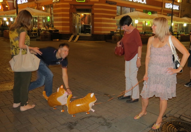 Поговорим о кошках40