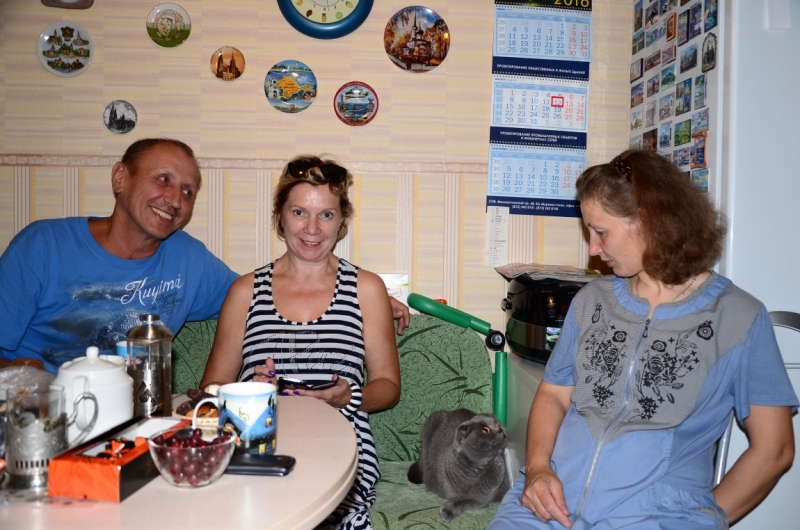 Поговорим о кошках40