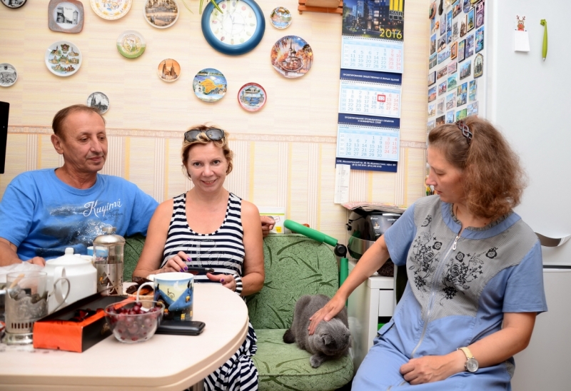 Поговорим о кошках40