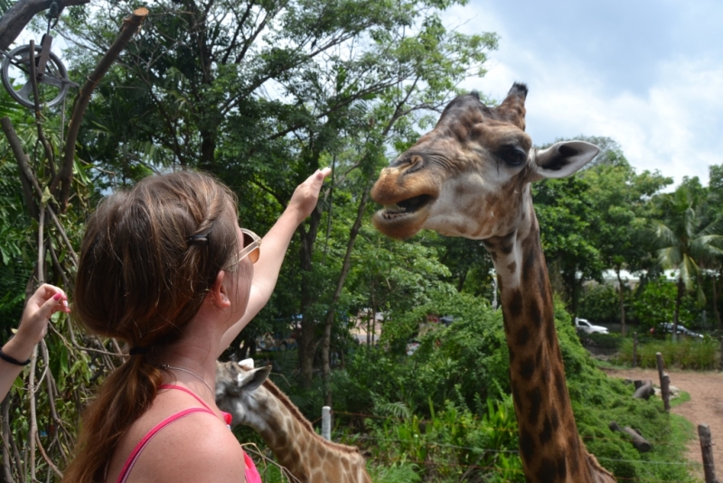 Медленно и с наслаждением: Панган со второго захода + Бангкок (онлайн, август 2016)
