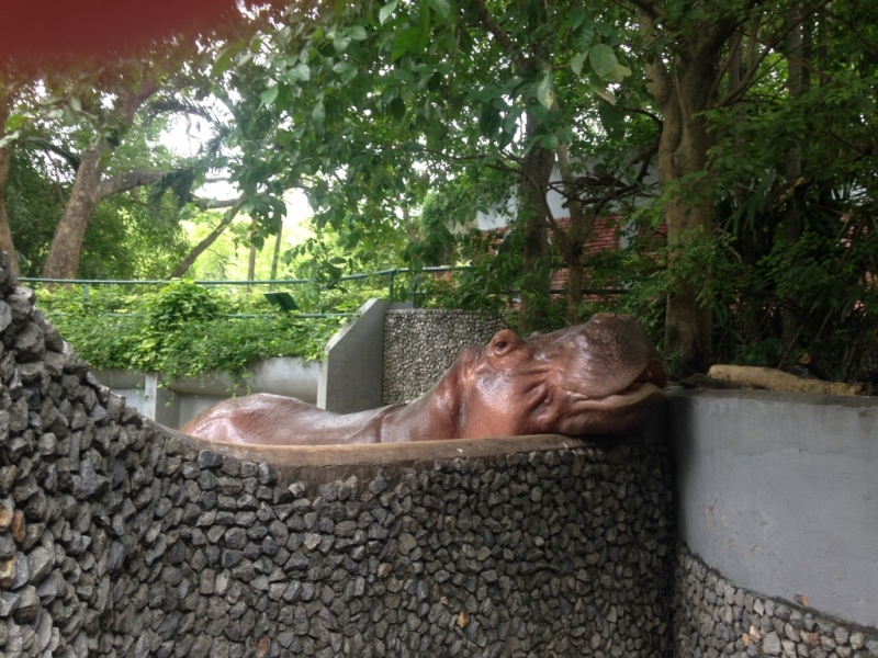 Медленно и с наслаждением: Панган со второго захода + Бангкок (онлайн, август 2016)