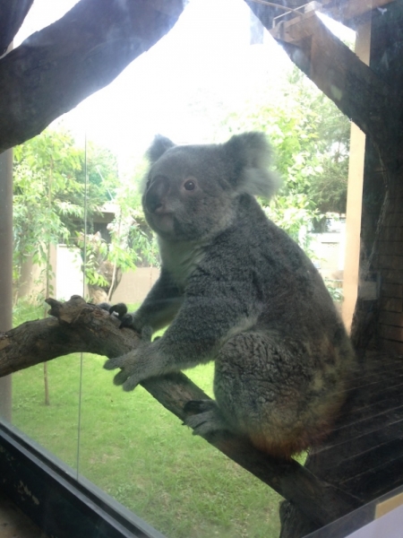 Медленно и с наслаждением: Панган со второго захода + Бангкок (онлайн, август 2016)