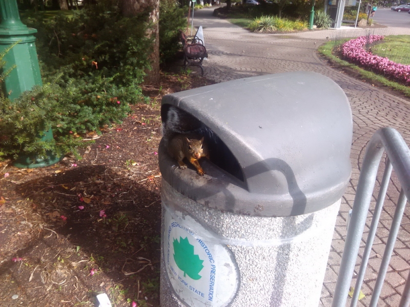 14 000 км на машине вокруг США: от Атлантического океана к Тихому и обратно