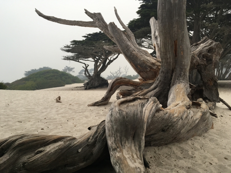 От Monterey до Los Angeles. Помогите определиться.