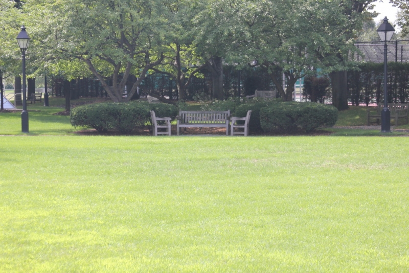 14 000 км на машине вокруг США: от Атлантического океана к Тихому и обратно