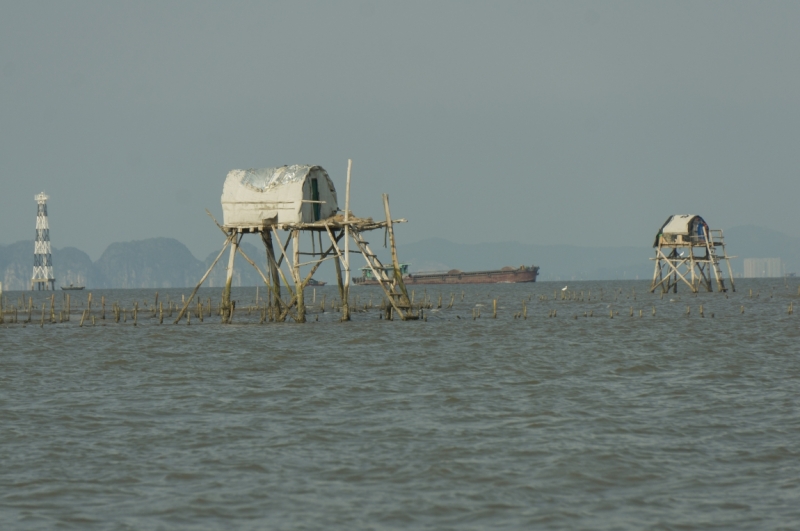 Северный Вьетнам в октябре.Прошу помощи