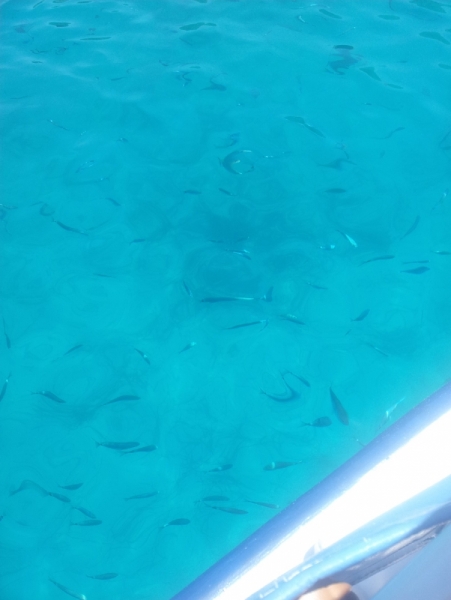 Корфу 2016 семейный отдых, пляж, посещения. Понравилось на Корфу.