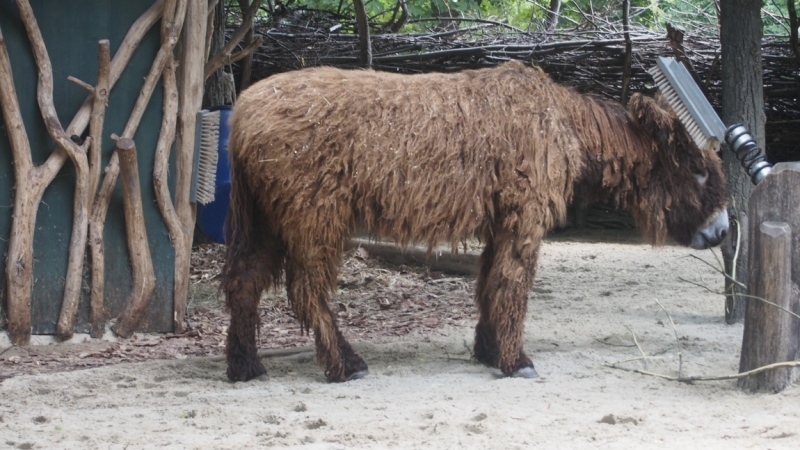 Холодно, теплее, горячо. Москва - Эстония и далее Хорватия. 7 путешествие Поли.