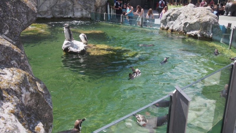Холодно, теплее, горячо. Москва - Эстония и далее Хорватия. 7 путешествие Поли.