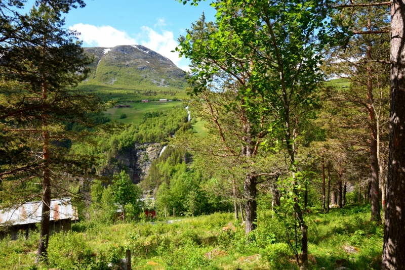 Норвегия сквозь солнечные очки. Водопады, фьорды, озера, ледники. Май-Июнь 2016
