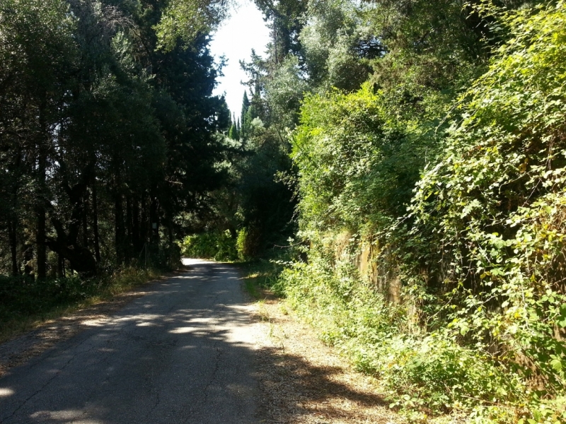 Корфу 2016 семейный отдых, пляж, посещения. Понравилось на Корфу.