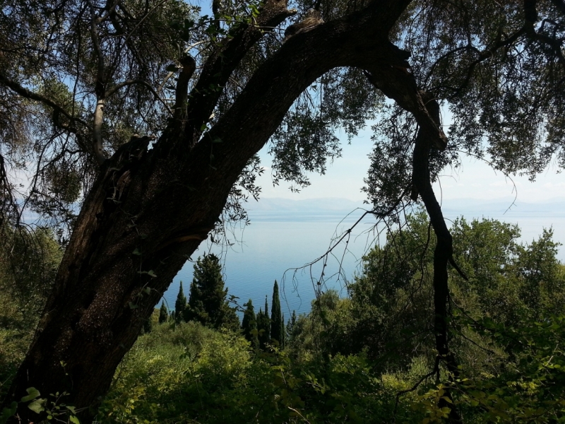 Корфу 2016 семейный отдых, пляж, посещения. Понравилось на Корфу.