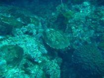 отчёт о полуторамесячном путешествии по Таиланду