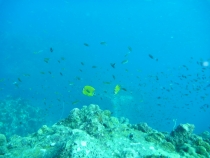 отчёт о полуторамесячном путешествии по Таиланду