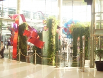 отчёт о полуторамесячном путешествии по Таиланду