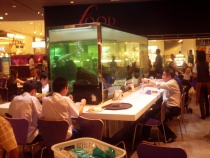 отчёт о полуторамесячном путешествии по Таиланду