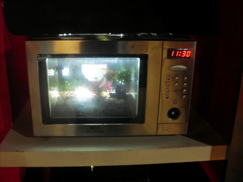 отчёт о полуторамесячном путешествии по Таиланду