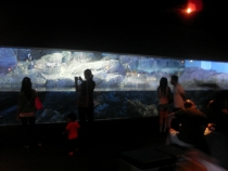 отчёт о полуторамесячном путешествии по Таиланду