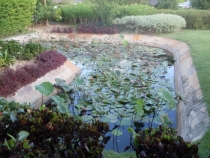 отчёт о полуторамесячном путешествии по Таиланду