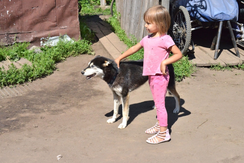 Петропавловск-Камчатский глазами доброжелательного туриста