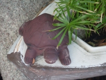 отчёт о полуторамесячном путешествии по Таиланду