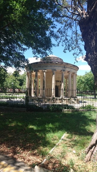 Корфу 2016г. или брачные песни цикад