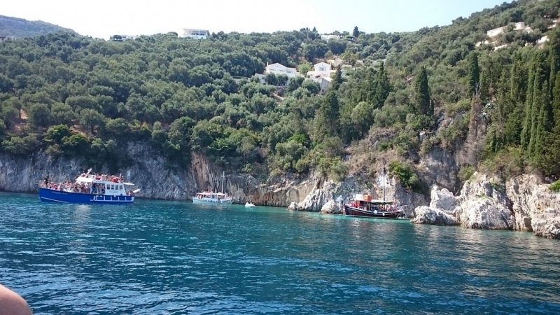 Корфу 2016г. или брачные песни цикад