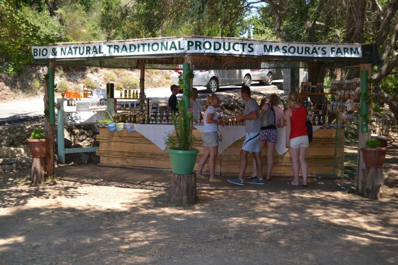 Корфу 2016г. или брачные песни цикад