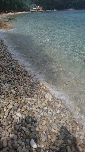 Корфу 2016г. или брачные песни цикад