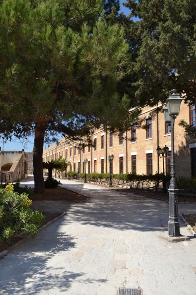 Корфу 2016г. или брачные песни цикад