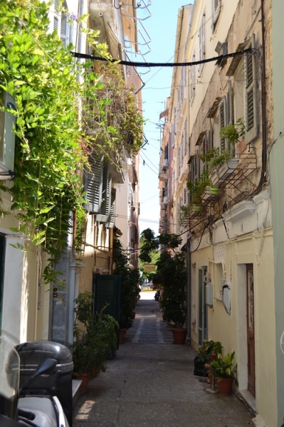 Корфу 2016г. или брачные песни цикад