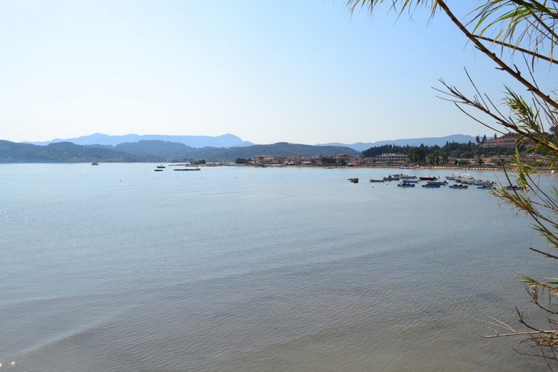 Корфу 2016г. или брачные песни цикад