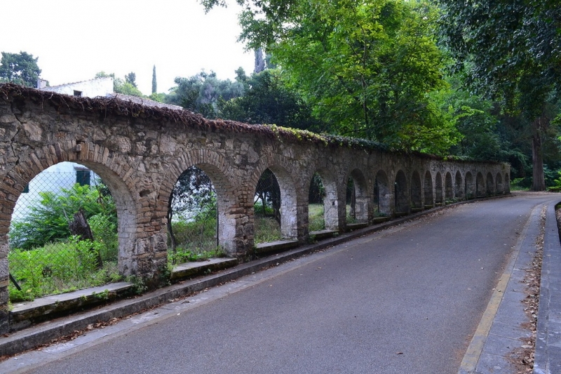 Корфу 2016г. или брачные песни цикад