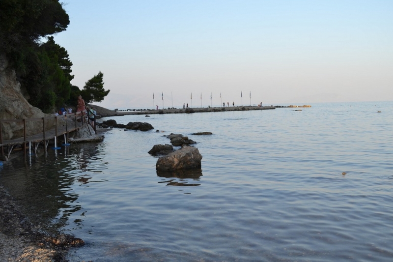 Корфу 2016г. или брачные песни цикад