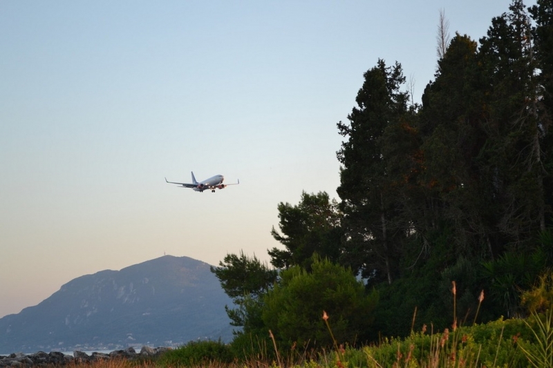 Корфу 2016г. или брачные песни цикад