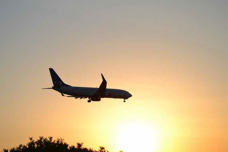 Корфу 2016г. или брачные песни цикад