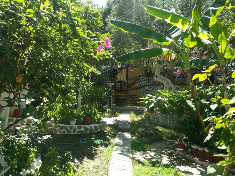 Корфу 2016 семейный отдых, пляж, посещения. Понравилось на Корфу.