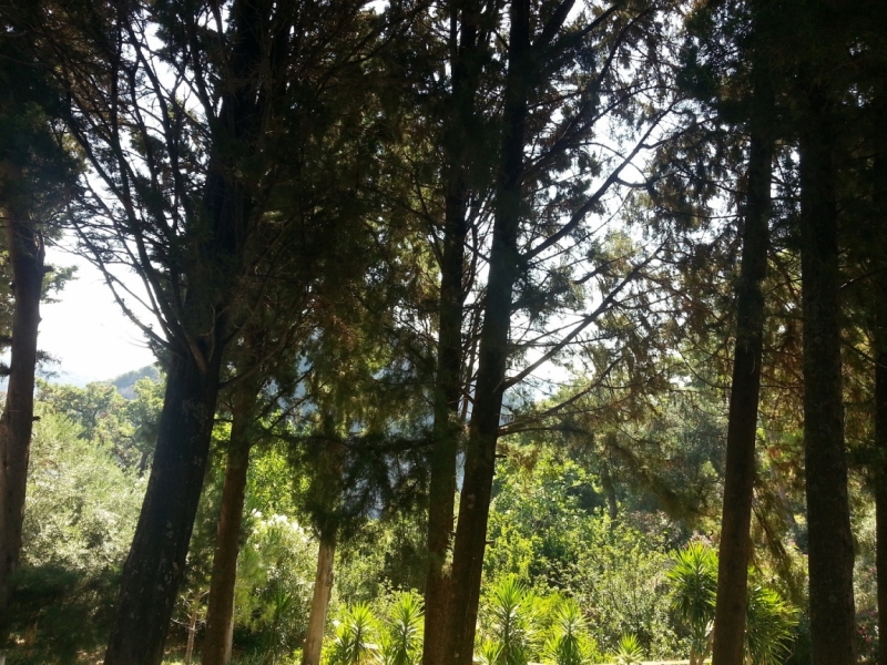 Корфу 2016 семейный отдых, пляж, посещения. Понравилось на Корфу.