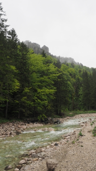 Бавария и немного Вены Бавария и немного Вены