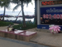 отчёт о полуторамесячном путешествии по Таиланду