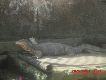 отчёт о полуторамесячном путешествии по Таиланду