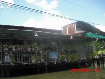 отчёт о полуторамесячном путешествии по Таиланду